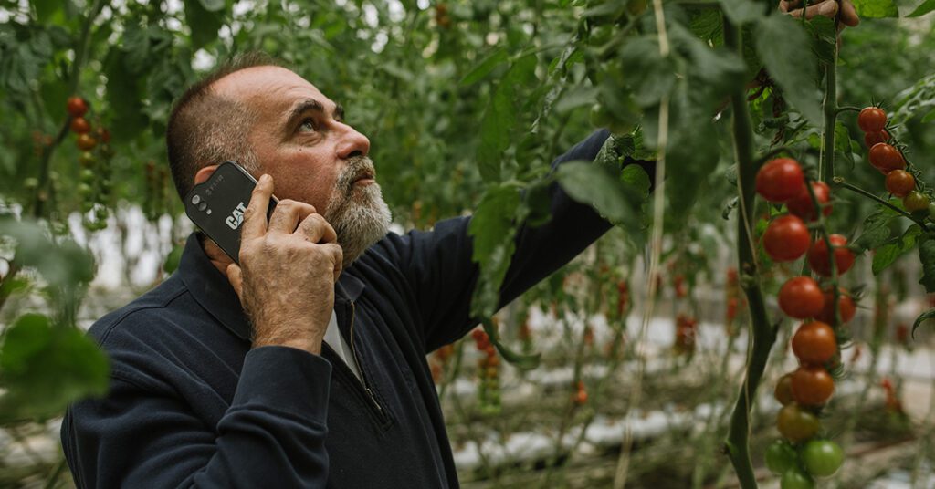 Producción agrícola puede mejorar la eficiencia en el trabajo con el uso de los teléfonos Cat®