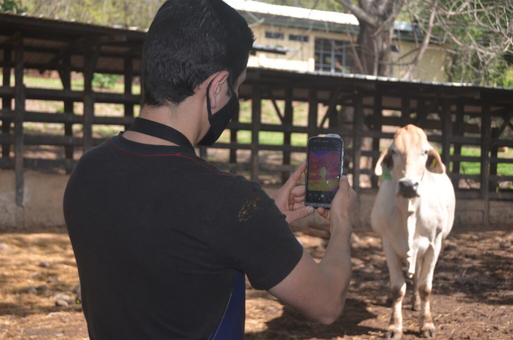 UTN de Costa Rica utiliza cámara térmica del celular de Cat® para detectar enfermedades en las pezuñas del ganado lechero - Vida Digital con Alex Neuman