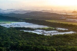 ¿Qué son los requerimientos de sustancia y por qué es importante que las empresas de Panamá Pacífico lo cumplan? - Vida Digital con Alex Neuman